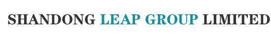 SHANDONG LEAP GROUP LIMITED